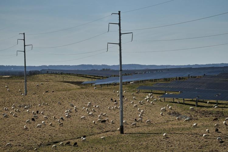 Takeaways from AP-Grist reporting on federal support for rural renewable energy