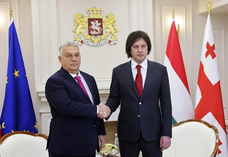 Hungary's Orbán boosts Georgia's ruling party over election despite an outcry the vote was rigged