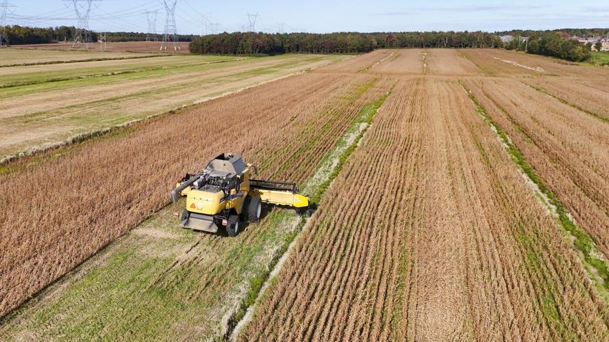 From soggy fields to skyrocketing diesel, Prairie farmers face tough harvest