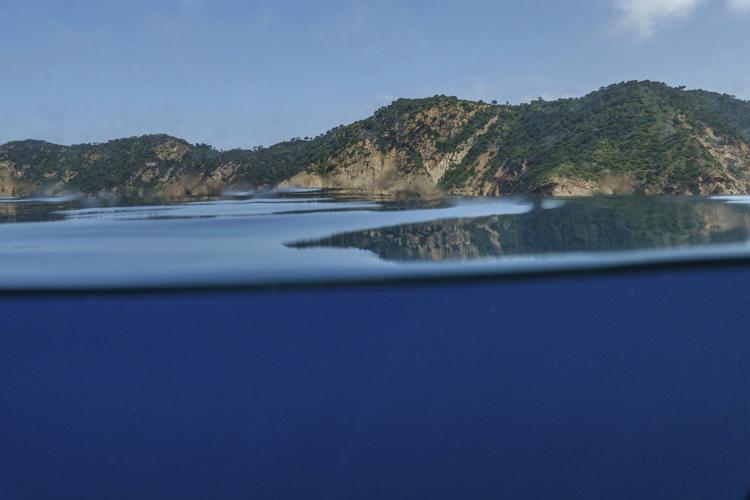 High Seas Treaty gains momentum as 18 new countries pledge support