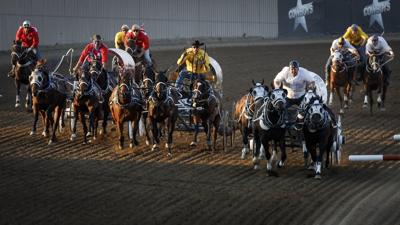 Calgary Stampede rodeo safety to include shaded pens, heart monitors for horses