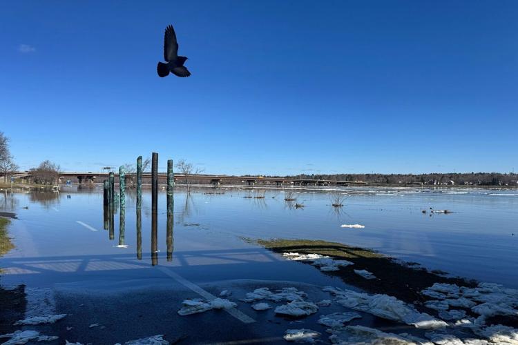 New Brunswick declares flood stage for Gagetown as Saint John River levels rise