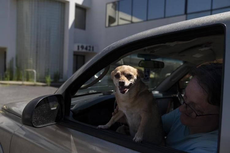 A dangerous heat wave is scorching much of the US. Weather experts predict record-setting temps