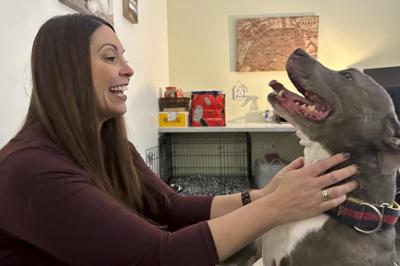 America's animal shelters are overcrowded with pets from families facing economic and housing woes