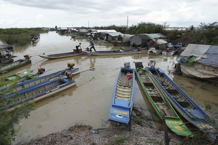 Cambodian fishermen turn to raising eels as Tonle Sap lake runs out of fish