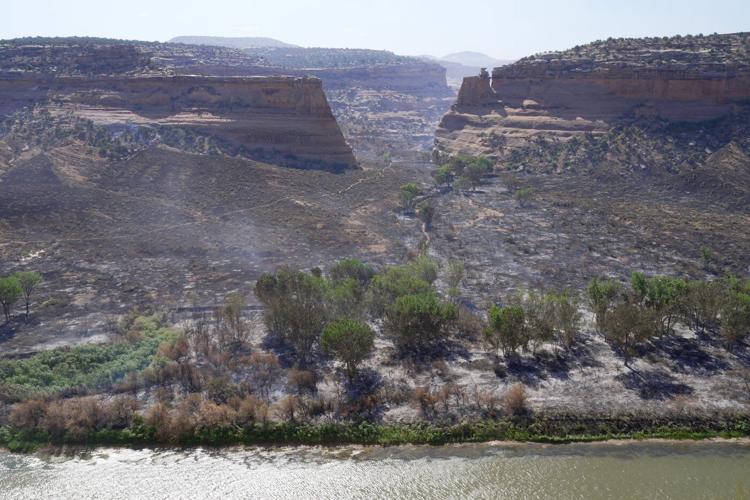 3 firefighters killed, 2 injured while tackling wildfires on the Colorado-Utah border
