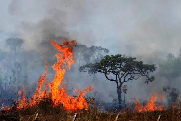 Brazilian firefighters battle national park wildfire that is enveloping Brasilia in smoke