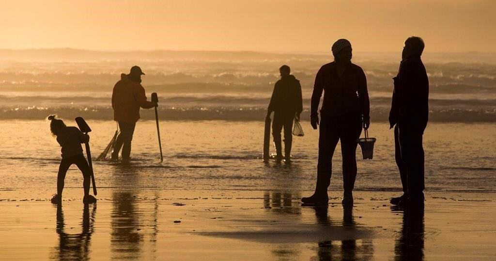 Oregon closes more coastal shellfish harvesting due to 'historic high ...