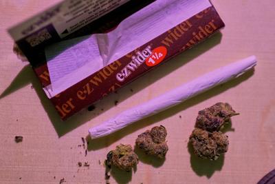 Chief in N.S. says Mi'kmaq have a treaty right to sell cannabis amid new RCMP raids