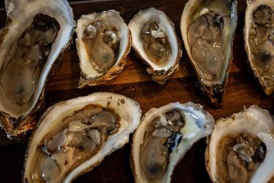 Ottawa limits movement of oysters in Atlantic Canada, Quebec to limit disease spread