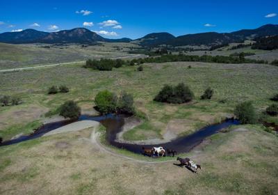 'We have to improve or we'll die': B.C. ranchers seek water solutions in long drought