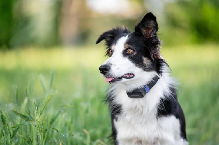 8 innovative gifts you didn't know you needed