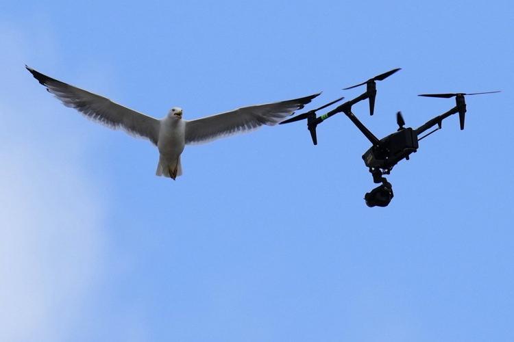 PHOTO COLLECTION: AP Top Photos of the Day, Thursday, May 8, 2025