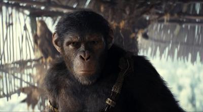 Summer Movies: 5 breakout stars to watch in 'Sing Sing,' 'Quiet Place, 'Horizon' and more