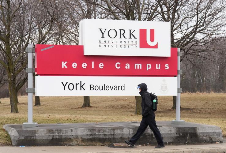 York University professors seek court order to stop program suspensions