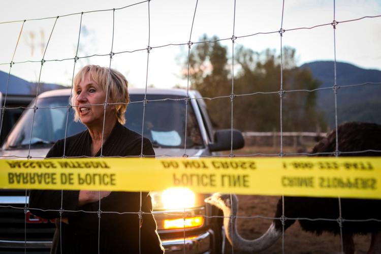 Photo-Gallery-Avian-Flu-Ostrich 20