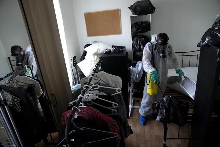 Bedbugs are making France anxious ahead of the 2024 Summer Olympics