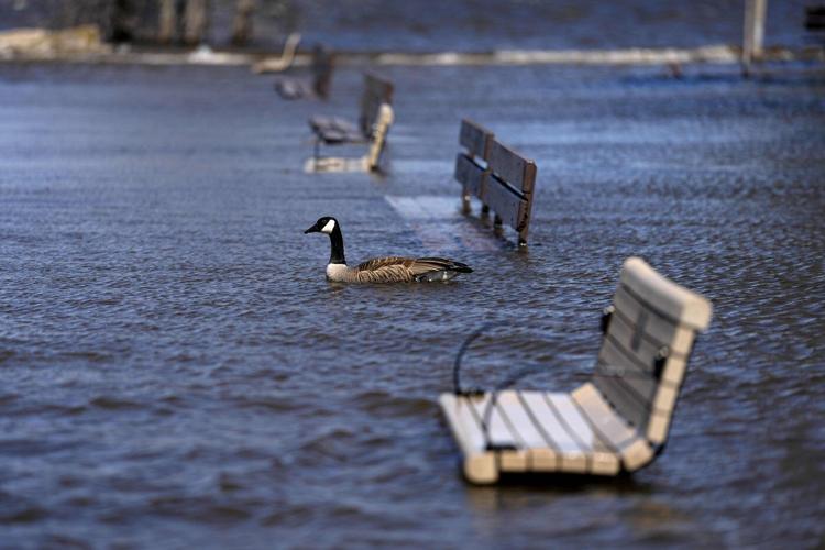 Water levels on Ottawa River expected to peak as spring flood concerns grow