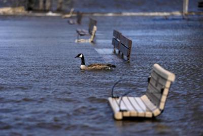 Floodwaters in hard-hit Ontario recede but warnings remain with rain ahead