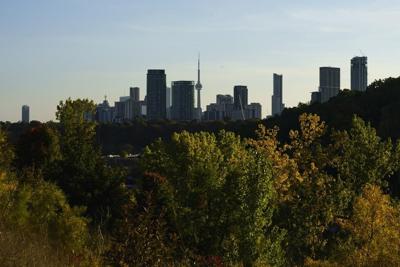 Half a million people in Toronto don't have a family doctor, college says