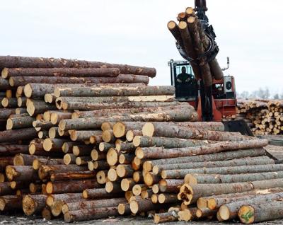 Ottawa dénonce l'augmentation des droits américains sur le bois d'oeuvre résineux