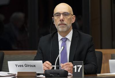 Immigration department has 'more than enough' staff to meet processing goals: PBO