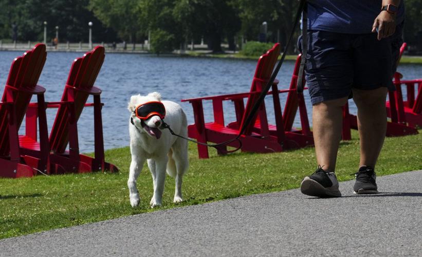 Burn bans and water restrictions in place in Ottawa area as dry conditions persist