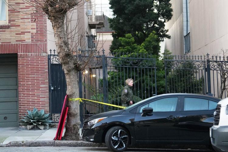 Mountain lion spotted in San Francisco, officials working to capture it