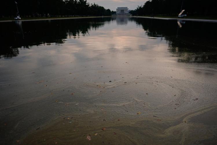 Reflecting Pool liner was cut with a sharp knife or razor, National Park Service says