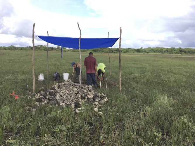 Archaeologists discover 4,000-year-old canals used to fish by predecessors of ancient Maya