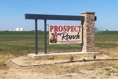 Coroner’s report on 6 deaths at Colorado dairy points to toxic gas exposure