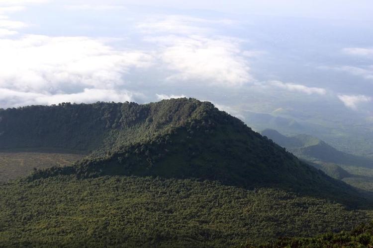 In Congo, activists look to Pope to boost forest protections