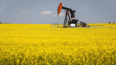 Canola industry concerned about export access to China after diplomatic spat