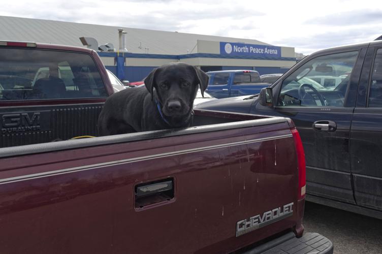 Cda-Wildfires 20240514