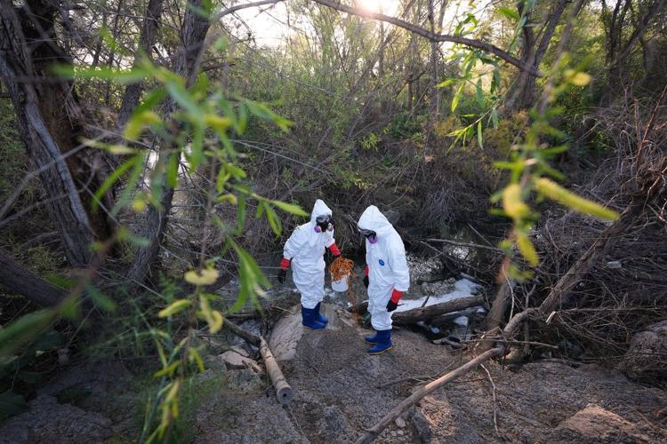 Thousands suffer nausea, delirium and other health issues from toxins in the Tijuana River