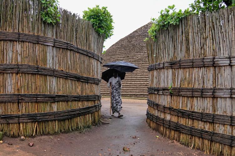 In Rwanda, a royal herd of cattle is treated to poetry and cultural reverence