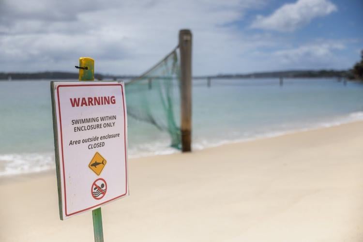 Man and boy critical after 3 shark attacks off Sydney in just over 24 hours