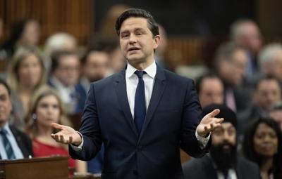 Liberals pick candidate for O'Toole byelection who first tried running for Tories