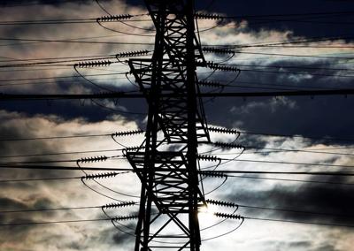 Hydro One blames raccoon after downtown Toronto power outage