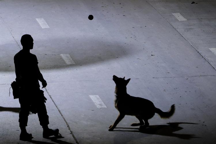 Worried families and rescue dogs bond during the long days of searching at Bangkok collapse