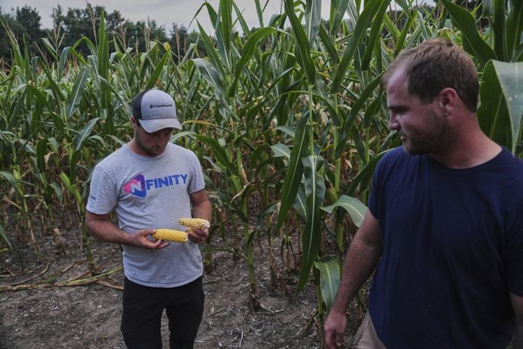 To get that perfect ear of corn, weather has to cooperate. But climate change is making it dicier