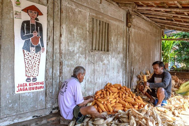 Indonesians fight a German cement giant over a mine and factory project