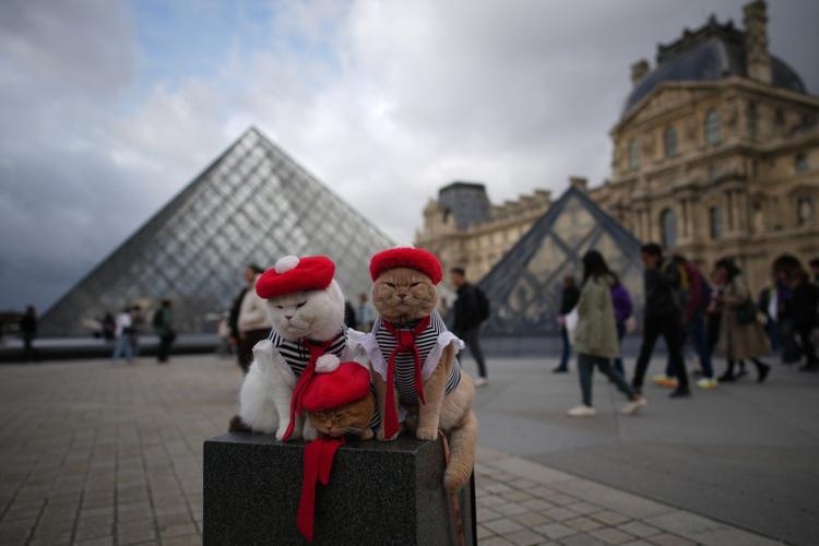 The top photos of the day by AP's photojournalists