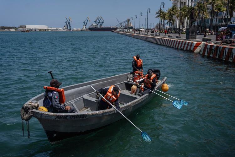 Oil spill deals economic blow to fishermen in the Gulf of Mexico