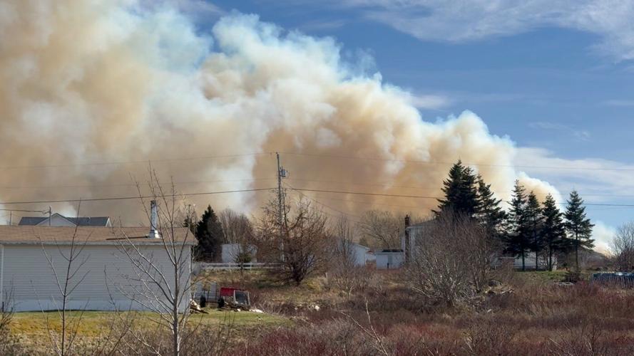 Homes destroyed, people fleeing as wildfires rage in eastern Newfoundland
