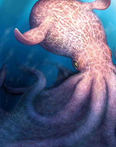 A massive kraken-like octopus may have prowled the seas during the age of dinosaurs
