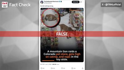 Fact File: Canadian store's security photo manipulated to show mountain lion break-in
