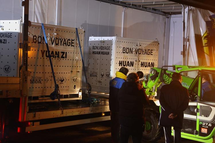France says 'bon voyage' to 2 giant pandas as they head back to China