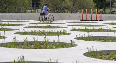 New Montreal square lined with orange cones after reports of tripping, injuries