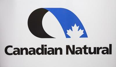 Canadian Natural fined for not stopping birds from nesting on tailings pond island